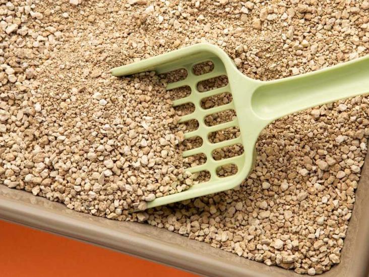 Por qué utilizar arena aglomerante para gatos en tu casa? Te traemos 4  razones - Ah! gata