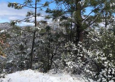 Clima en Sonora: Alertan por temperaturas gélidas por frente frío y séptima tormenta invernal