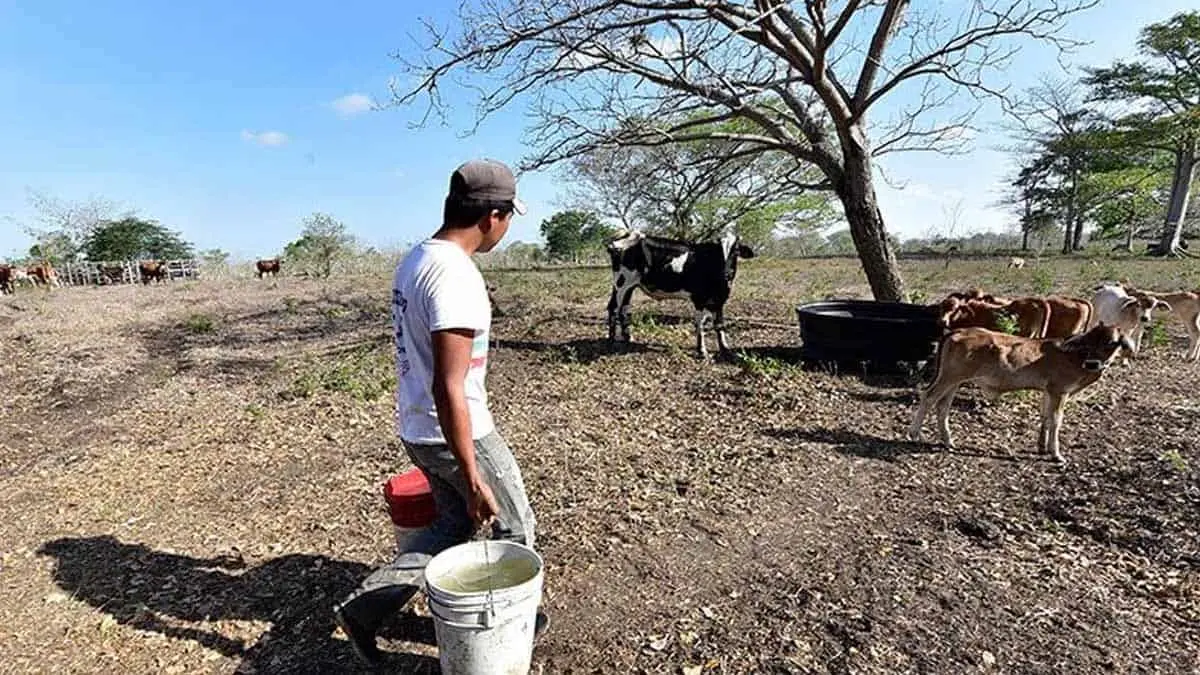 En Sonora gestionan apoyos para hacer frente a la sequía