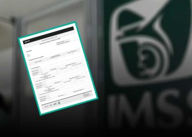 IMSS: ¿Cómo saber cuántas semanas tengo cotizadas?