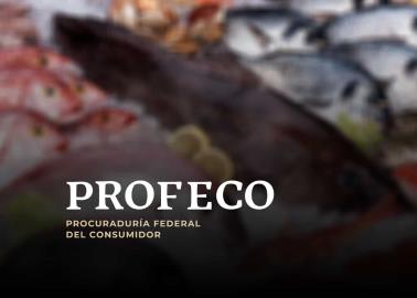 Estos son los pescados más nutritivos y económicos recomendados por la Profeco