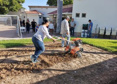 Estudiantes tendrán huerto de hortalizas en Cajeme