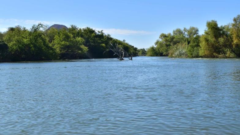 Paseo “Paljemar”, el encanto del Río Yaqui en Cajeme