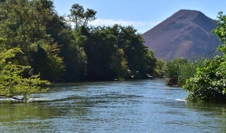 Paseo "Paljemar", el encanto del Río Yaqui en Cajeme