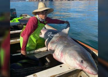 Difunden en redes sociales supuesta captura de tiburón en Bahía de Kino