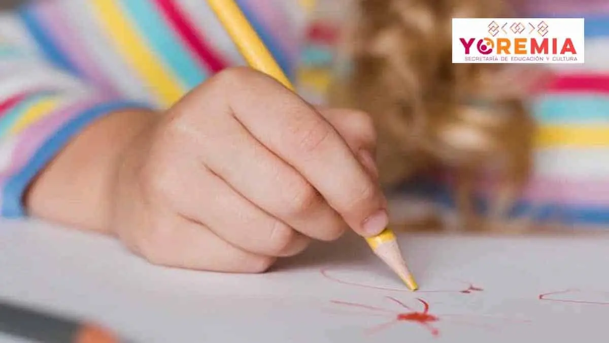 Preinscripciones Yoremia 2024: cuándo y dónde consultar los resultados
