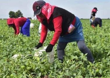 Ante amenaza de sequía, jornaleros del Mayo orarán por las lluvias