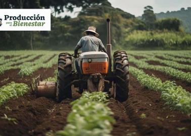 Secretaría del Bienestar ofrece 24 mil pesos a quienes cumplan estos requisitos