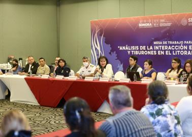 Sagarhpa realiza taller para preservar la vida de los pescadores y del tiburón blanco en Sonora 