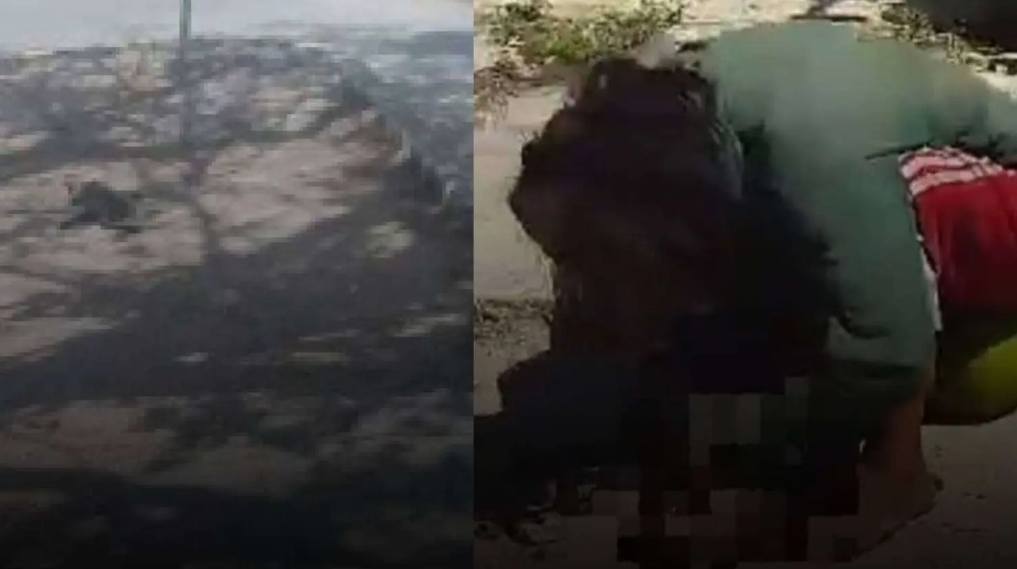 Esta es la posible razón por la que una mujer se comió a un gato en plena calle