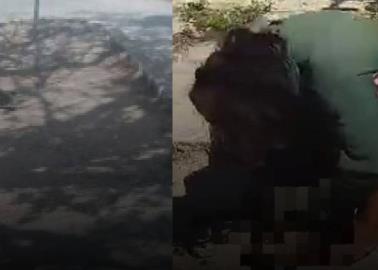 Esta es la posible razón por la que una mujer se comió a un gato en plena calle