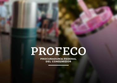 Profeco: ¿por qué no recomienda comprar el termo Stanley de Starbucks?