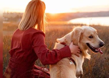 Mascotas: ¿Cuáles razas de perros son la mejor compañía para las mujeres?
