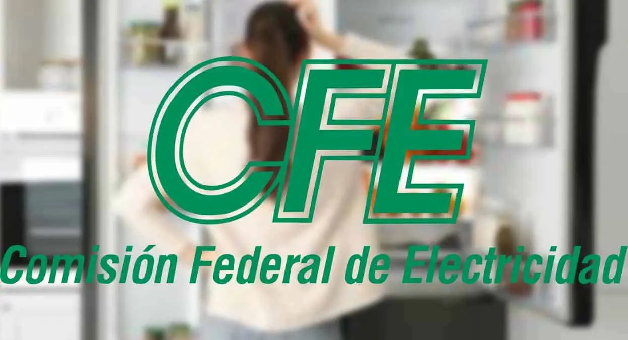CFE: ¿Quiénes pueden comprar un refrigerador nuevo a crédito?