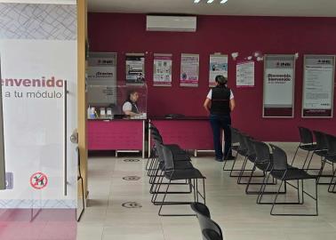 HOY, último domingo para recoger credenciales del INE y poder votar