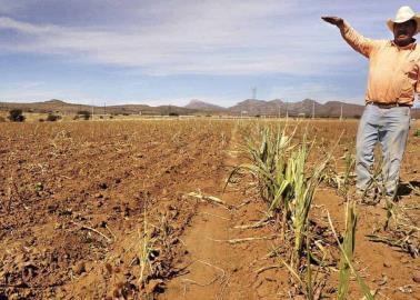 Crisis en el campo