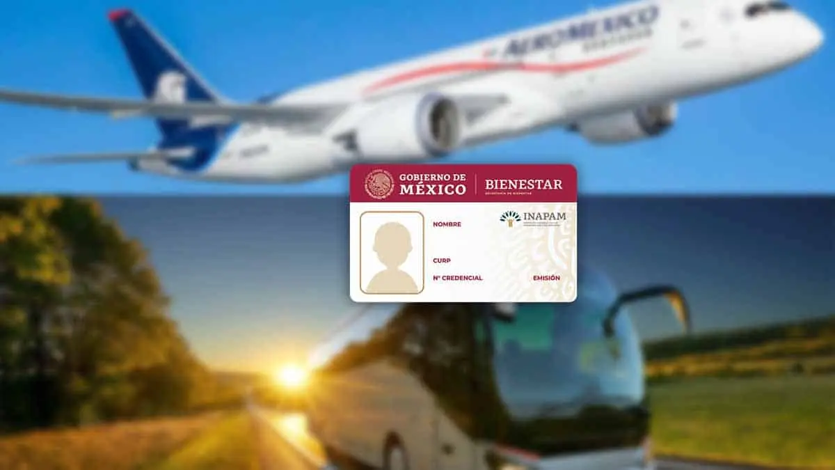 Tarjeta Inapam: estas aerolíneas y autobuses ofrecen descuentos para Semana Santa