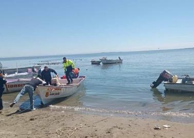 ¡Tiburones en Las Bocas!