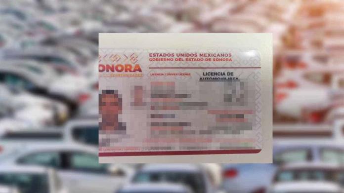 Licencia de conducir en Sonora: a estas personas solo les costaría el 50% tramitarla Licencia de conducir en Sonora: a estas personas solo les costaría el 50% tramitarla