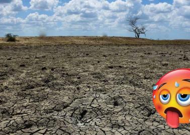 Fenómeno El Niño: México en alerta máxima por los estragos que causará este 2024