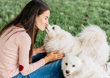 Mascotas: ¿Cuánto tiempo tardan los perros en olvidar a su dueño?