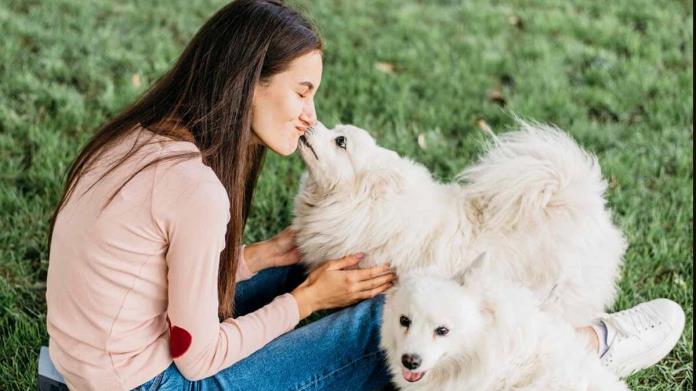 Mascotas: ¿Cuánto tiempo tardan los perros en olvidar a su dueño?