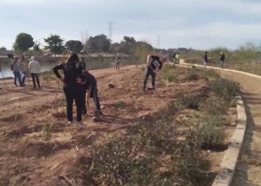 Cajemenses ejemplares: convierten basurero en Parque Lineal Meridiano