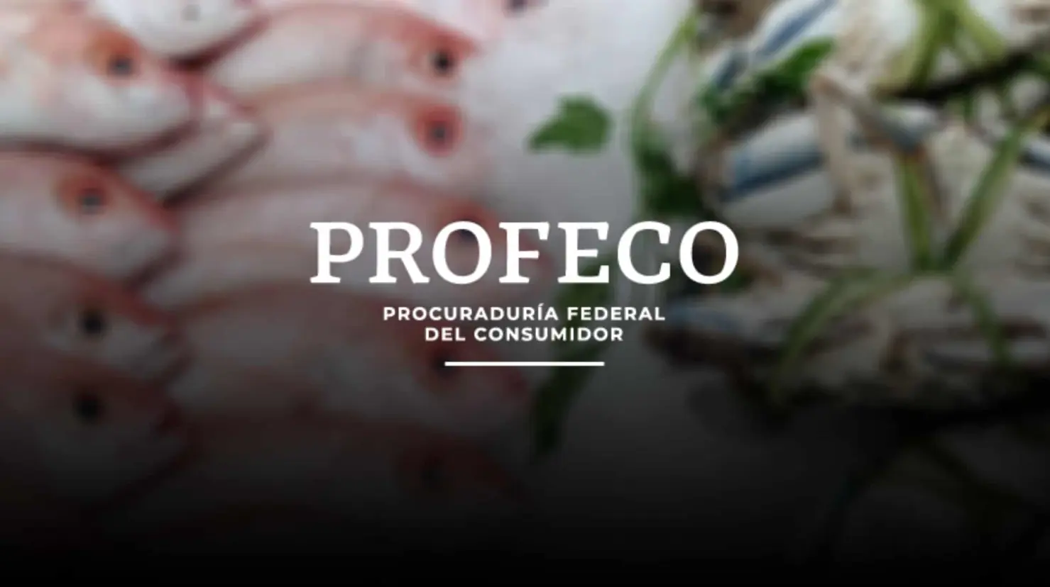 Cuaresma: Estos son los mariscos más baratos en México según la Profeco