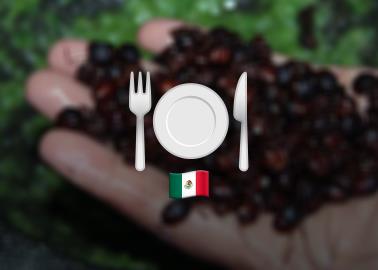 ¿Los has probado? Tres platillos mexicanos exóticos que quizás no conocías