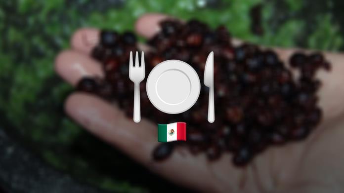 ¿Los has probado? Tres platillos mexicanos exóticos que quizás no conocías ¿Los has probado? Tres platillos mexicanos exóticos que quizás no conocías