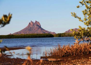 Estero El Soldado en Guaymas, una opción para visitar esta Semana Santa
