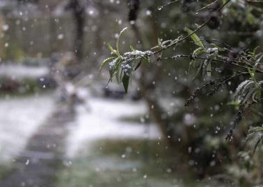 Clima en Sonora: En plena primavera, pronostican tormenta invernal