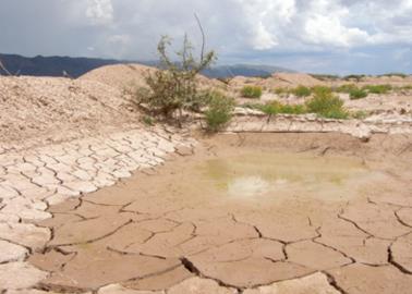 Sequía en Sonora: Presa El Mocúzari registra mínimos históricos en almacenamiento