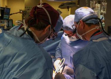 Realizan primer trasplante de riñón de cerdo a humano; fue todo un éxito