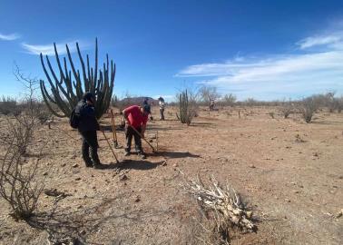 Eco Jóvenes en Acción por Sonora reforestarán desierto en territorio Yaqui