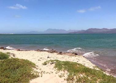 Semana Santa en la isla más grande de México y está en Sonora