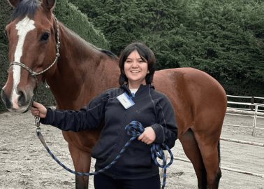 Liberarán emociones a través de caballos