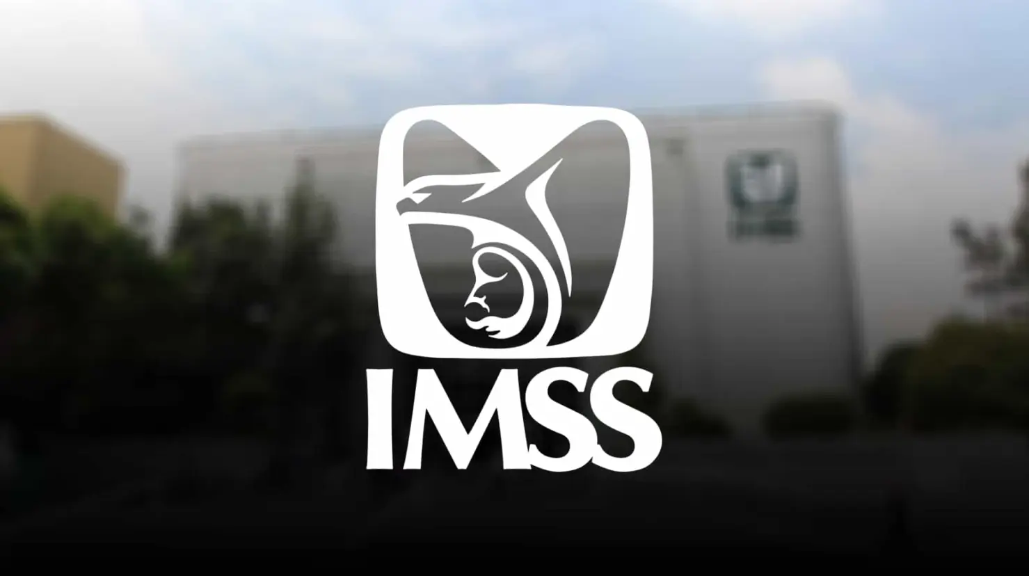 Modalidad 35 del IMSS: ¿Qué es y cuál es su costo en 2024?