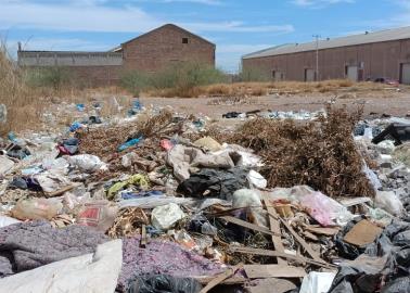 Siguen los basureros clandestinos en Cajeme
