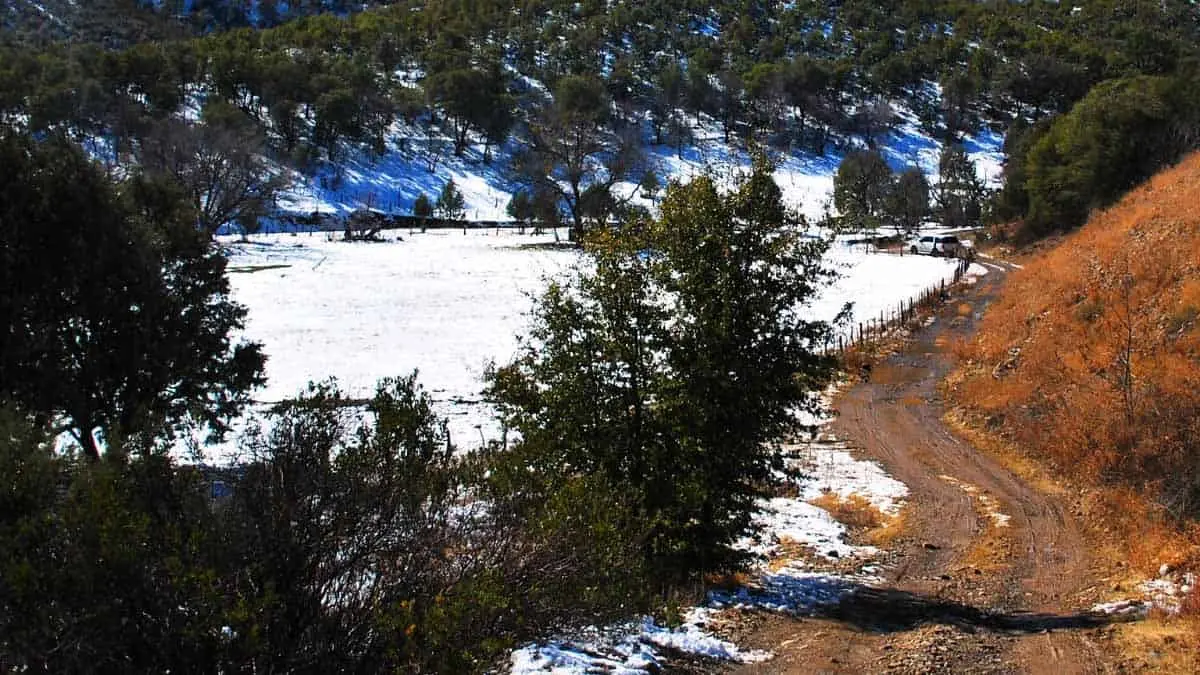 Clima en Sonora: Se pronostican lluvias y nevadas en la entidad; así como un nuevo frente frío