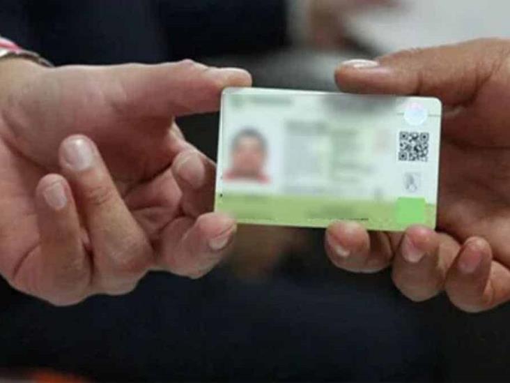 Diario Del Yaqui Licencia De Conducir Permanente Gratis ¿cuáles Son