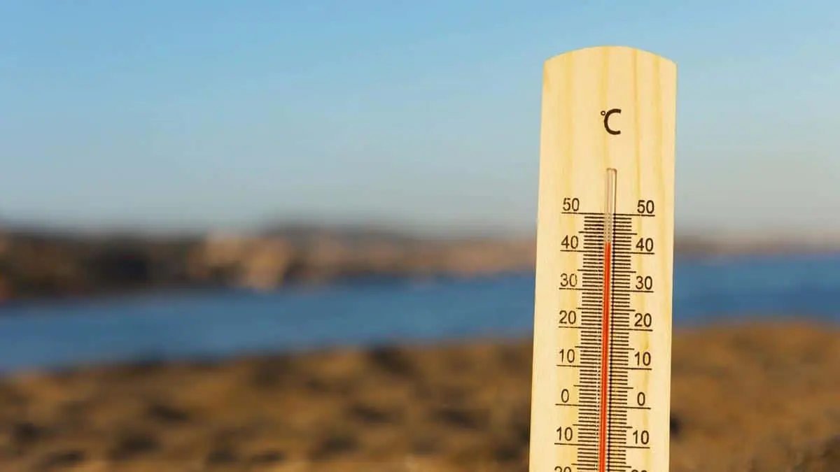 Clima en Sonora: Se espera un día caluroso, con temperaturas por arriba de los 35°C