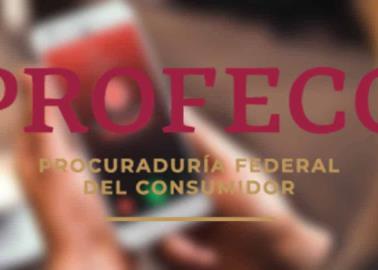 Profeco: ¿estás cansado de las llamadas spam? de esta manera las puedes denunciar