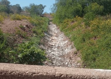 Se seca el canal y mueren los peces