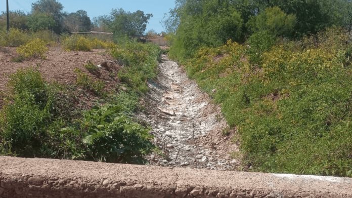 Se seca el canal y mueren los peces