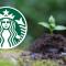 Starbucks: Estos son los vasos que regalará por el Día de la Tierra