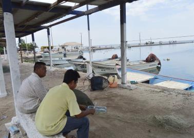 Pescadores de Huatabampo no han subido los precios de los productos aunque algunas pescaderías sí