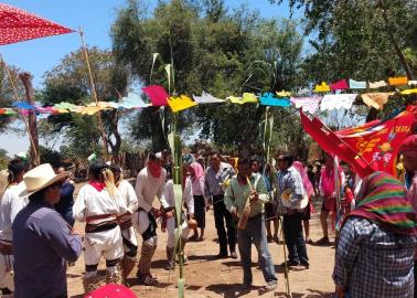 Mayos piden respeto en ceremonias tradicionales Mayos piden respeto en ceremonias tradicionales