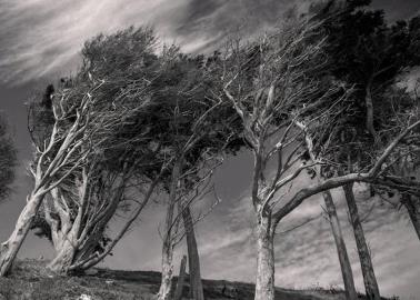 Clima en México para el 16 de abril de 2024: Sonora y Chihuahua tendrán vientos fuertes