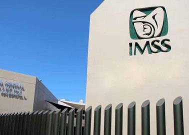 IMSS: ¿quieres pagar el seguro por tu propia cuenta? este es el costo en 2024